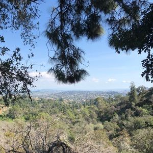 Meet your Posher, Mia